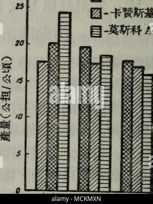 代理手游加盟選擇與《百球大師H5》計(jì)算機(jī)技術(shù)培訓(xùn)解析